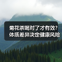 菊花茶喝对了才有效?体质差异决定健康风险(图3) 菊花茶喝对了才有效?体质差异决定健康风险(图3)