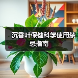 沉香叶保健科学使用禁忌指南(图3) 沉香叶保健科学使用禁忌指南(图3)