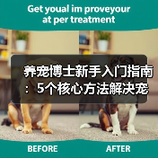 养宠博士新手入门指南:5个核心方法解决宠物健康问题(图2) 养宠博士新手入门指南:5个核心方法解决宠物健康问题(图2)