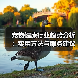 宠物健康行业趋势分析：实用方法与服务建议