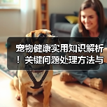 宠物健康实用知识解析！关键问题处理方法与