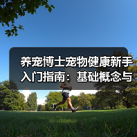 养宠博士宠物健康新手入门指南：基础概念与常见误区 - 辰飞雨深圳健康科普资讯网